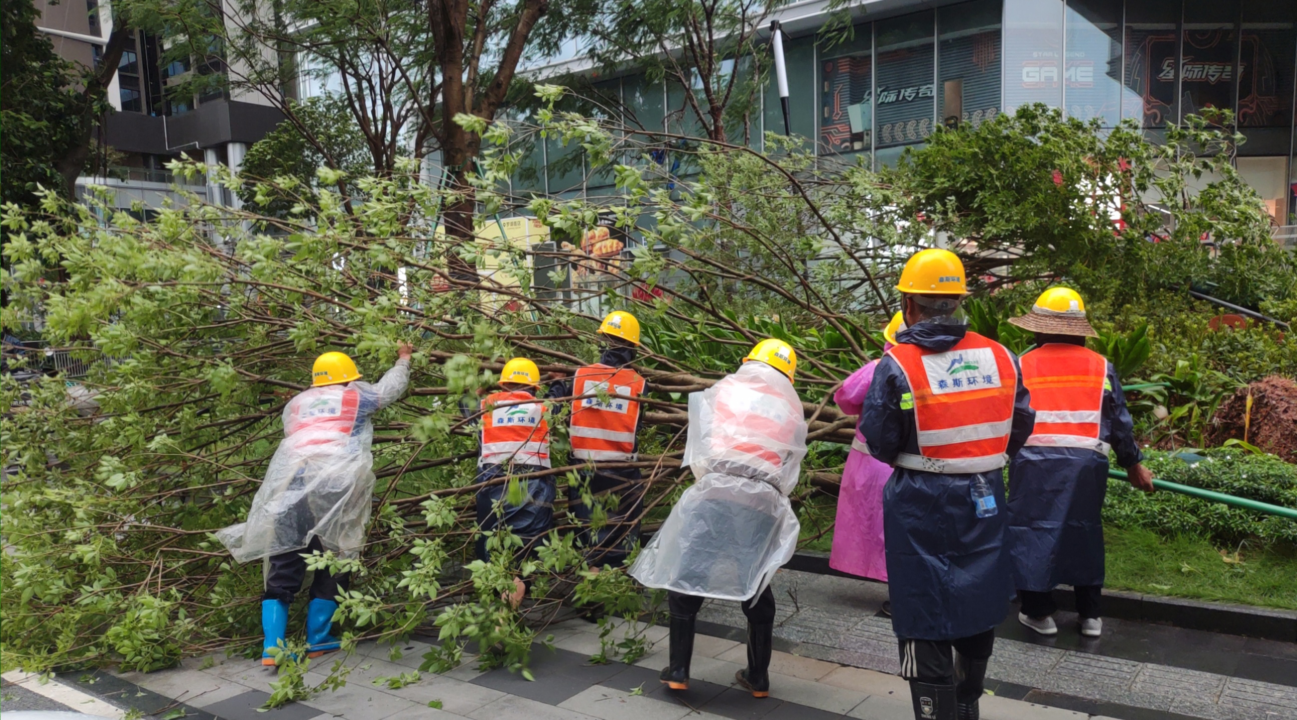 森斯環(huán)境臺(tái)風(fēng)搶險(xiǎn)顯本色，深圳市羅湖區(qū)城市管理和綜合執(zhí)法局致謝守護(hù)者